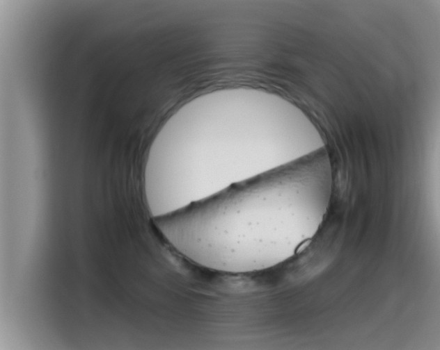 X0000115700424200911120947