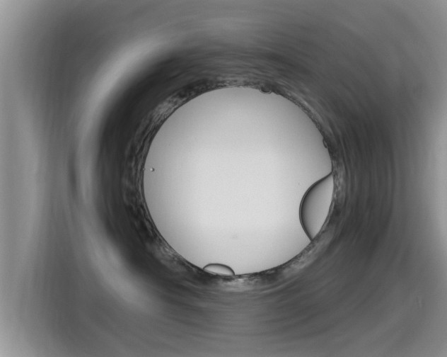 X0000115700430200911120947