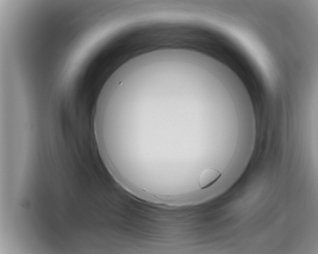 X0000115700431200911120947