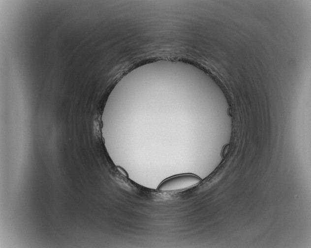 X0000115700432200911120947