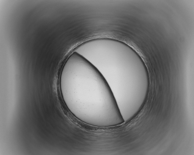 X0000115700434200911120946