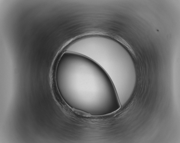 X0000115700436200911120946