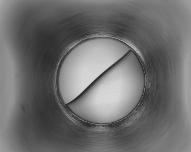 X0000115700437200911120946