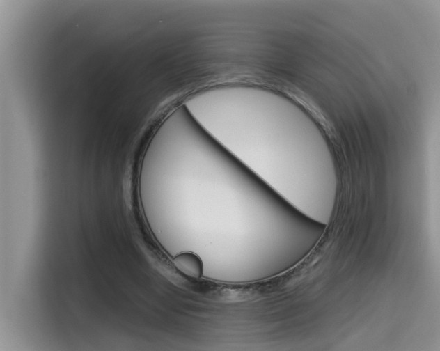 X0000115700442200911120946