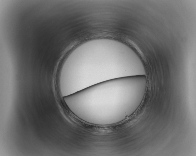 X0000115700443200911120946