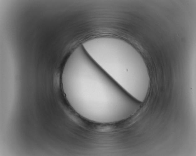 X0000115700454200911120946