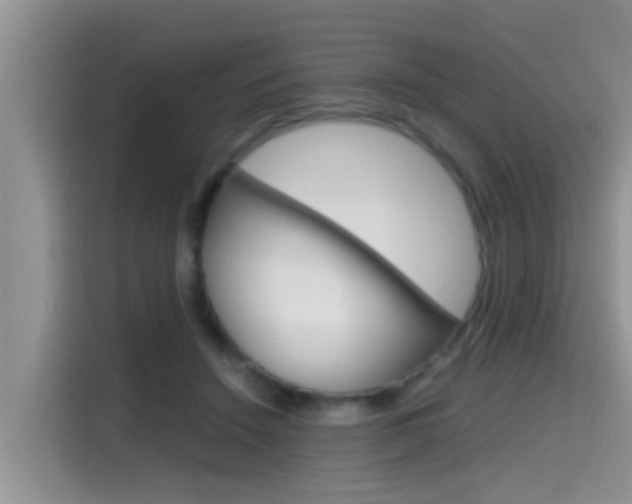 X0000115700456200911120946