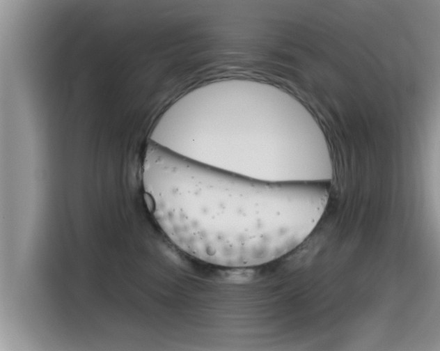 X0000115700474200911120947