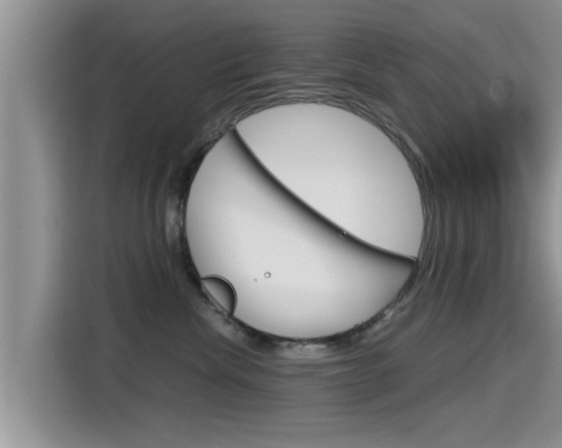 X0000115700476200911120947