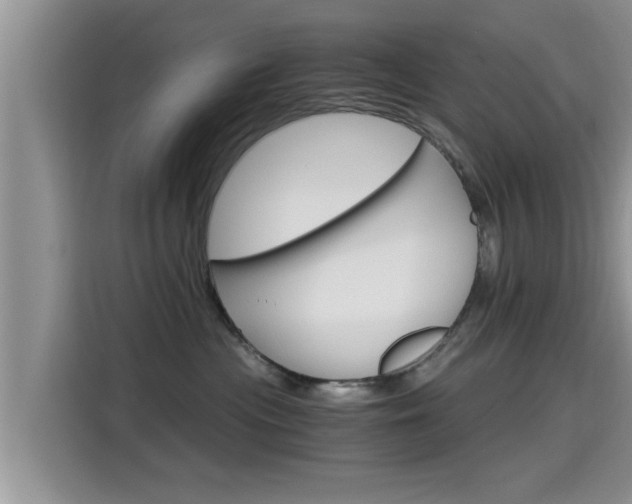X0000115700477200911120947