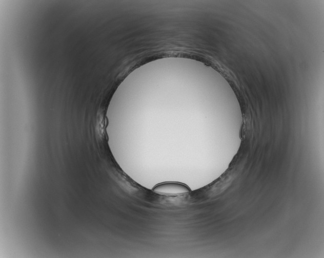 X0000115700479200911120947