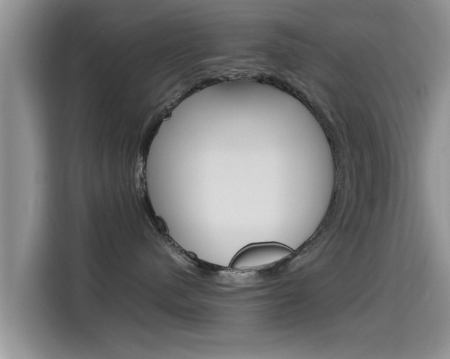 X0000115700480200911120947