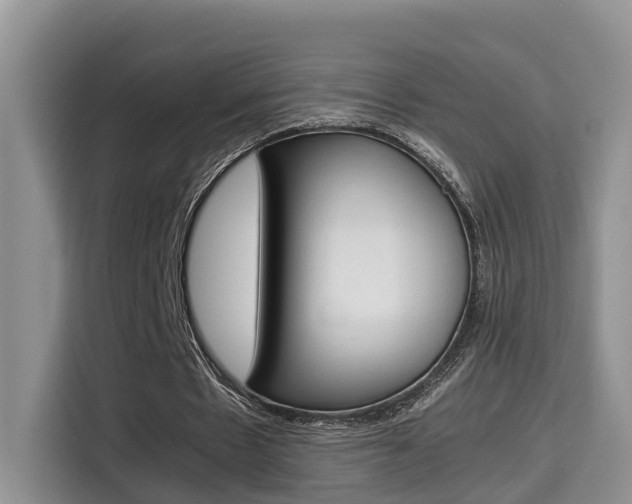 X0000115700481200911120946