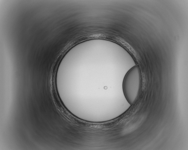 X0000115700482200911120946