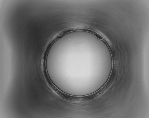 X0000115700485200911120946