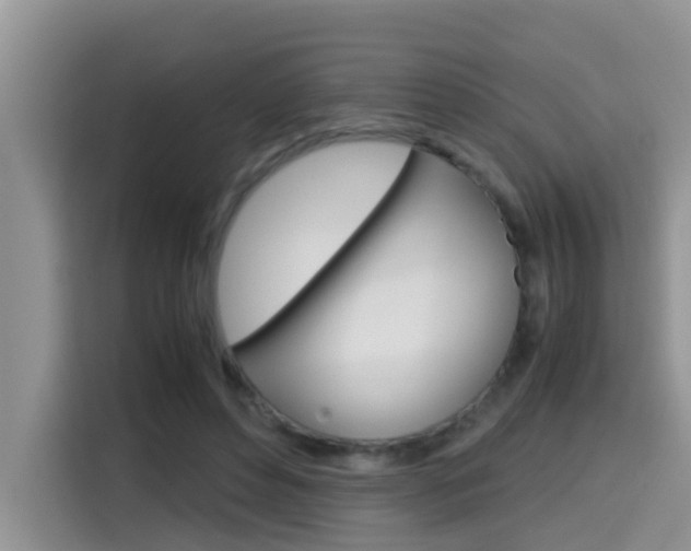 X0000115700496200911120946