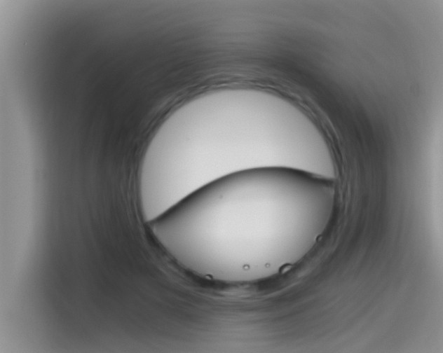 X0000115700505200911120946