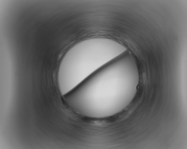 X0000115700508200911120946