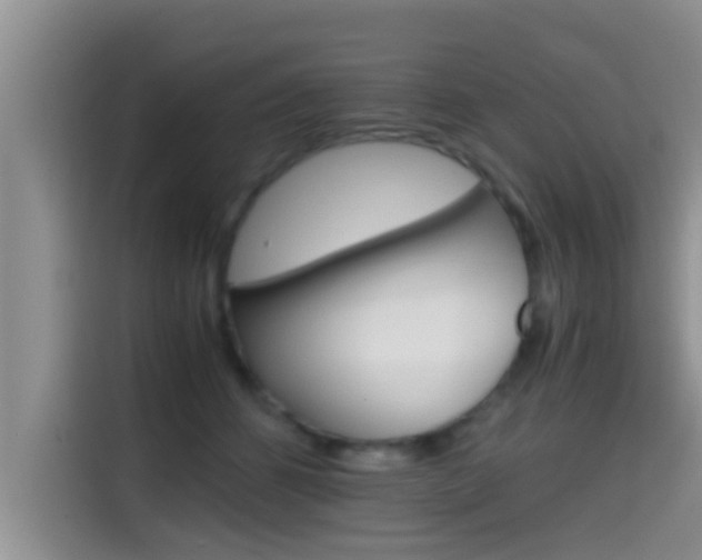 X0000115700512200911120946