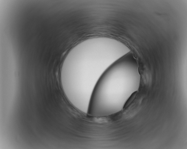 X0000115700520200911120946