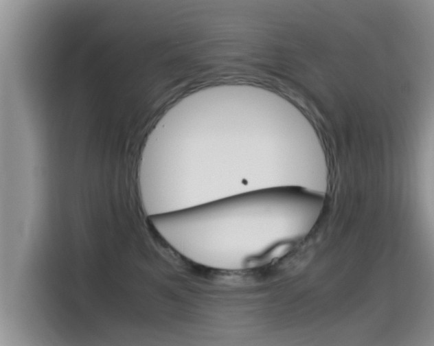 X0000115700521200911120946