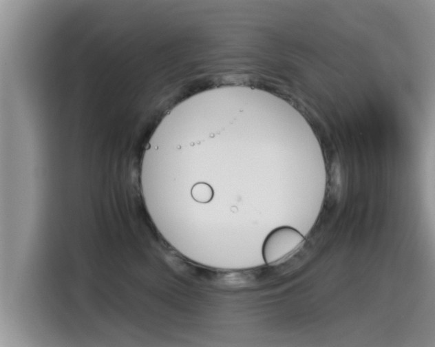 X0000115700522200911120945