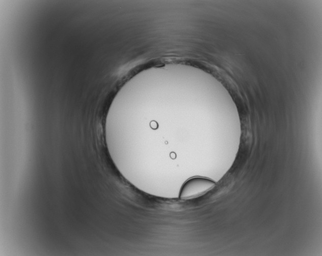 X0000115700523200911120945