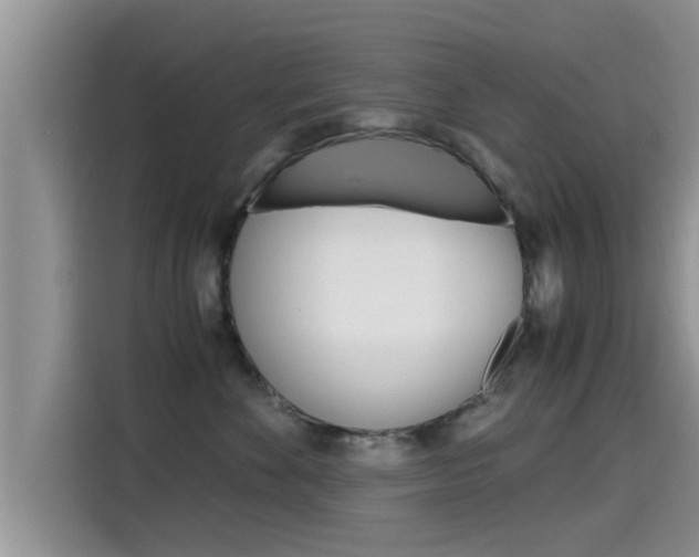 X0000115700524200911120945