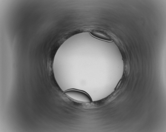 X0000115700525200911120945