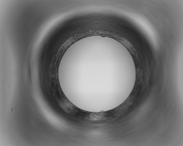X0000115700526200911120945