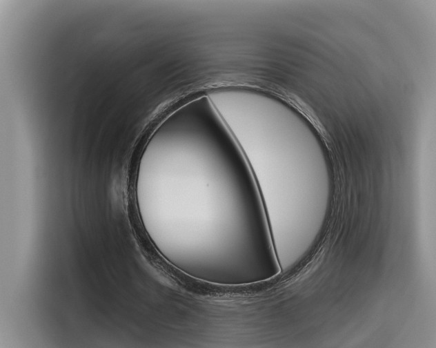 X0000115700530200911120945