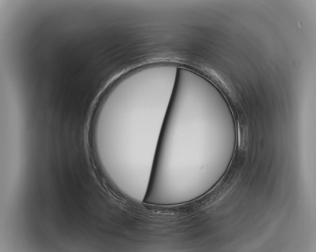 X0000115700531200911120945