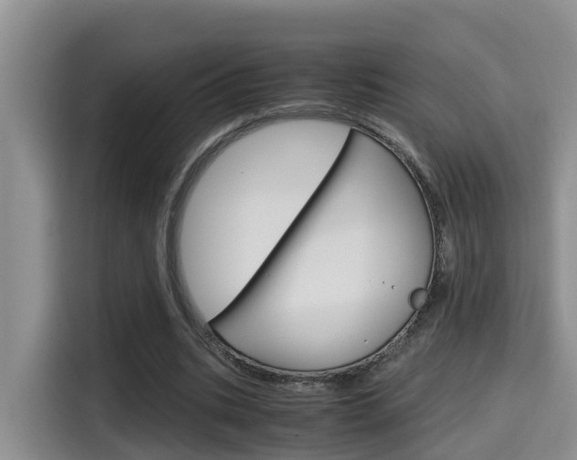 X0000115700535200911120945