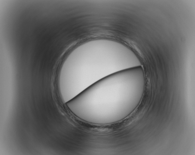 X0000115700539200911120945