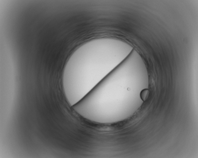X0000115700551200911120945
