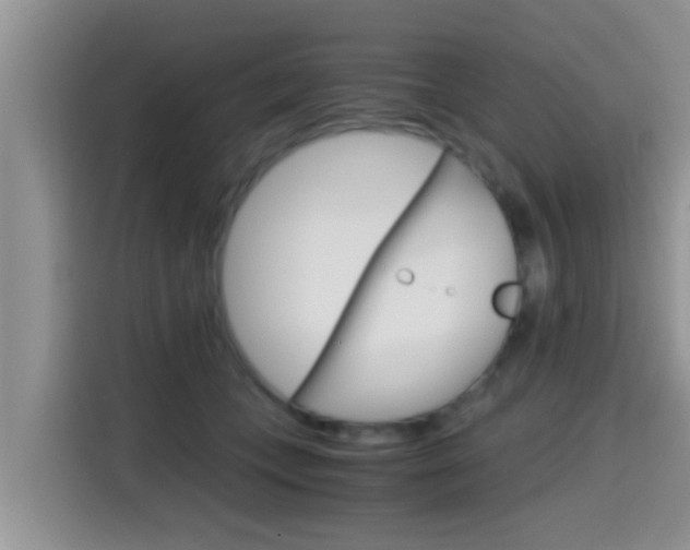X0000115700559200911120945