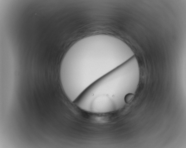 X0000115700563200911120945