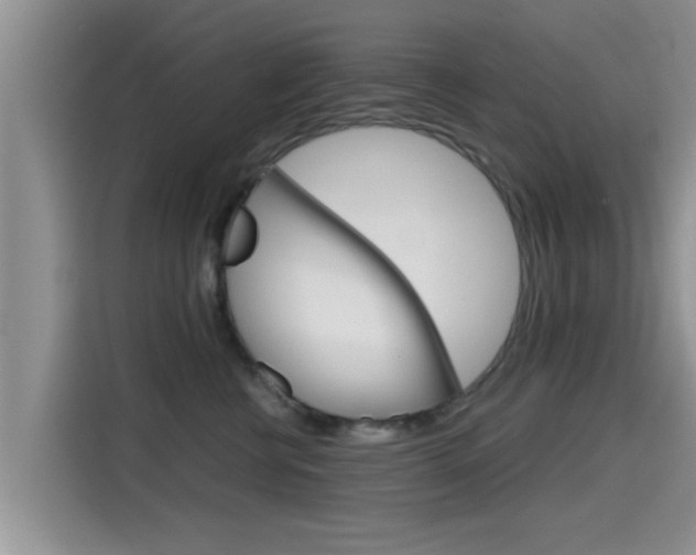 X0000115700570200911120945