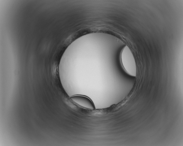 X0000115700574200911120945