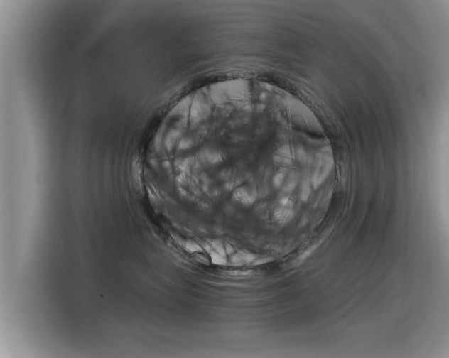 X0000115700575200911120945