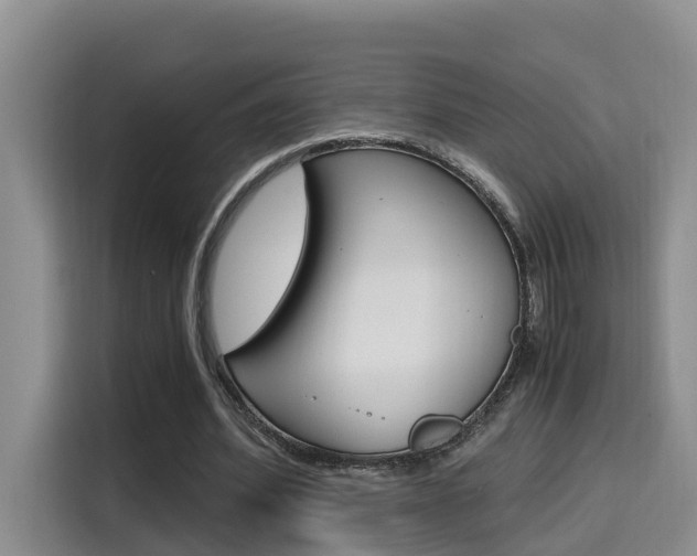 X0000115700580200911120945