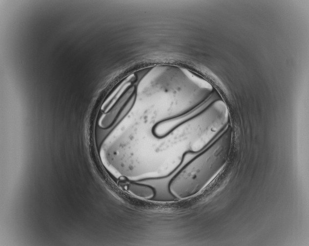 X0000115700581200911120945