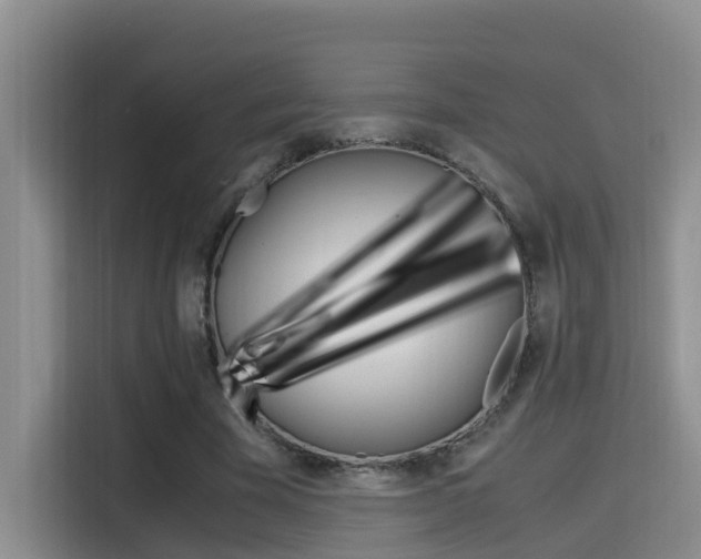 X0000115700585200911120945