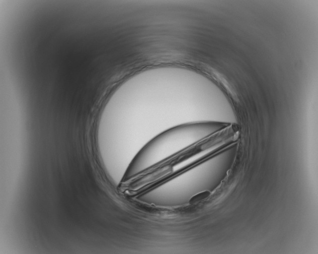 X0000115700589200911120945