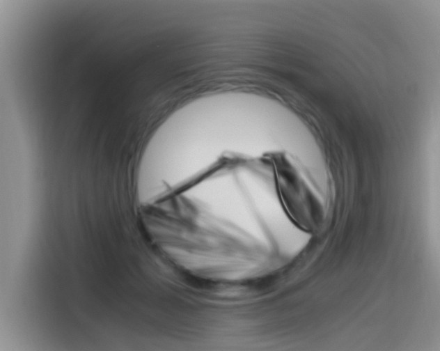 X0000115700605200911120944