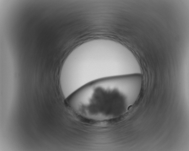 X0000115700609200911120944