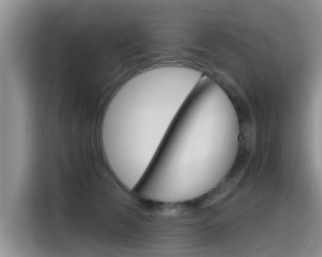 X0000115700612200911120944