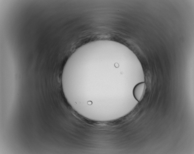 X0000115700614200911120944
