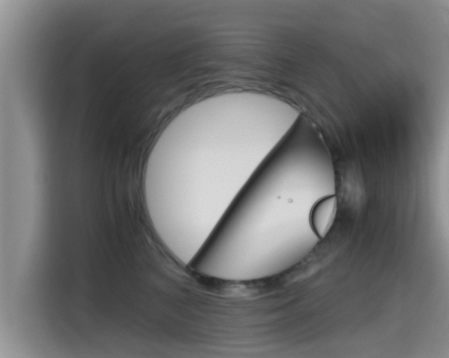 X0000115700616200911120944