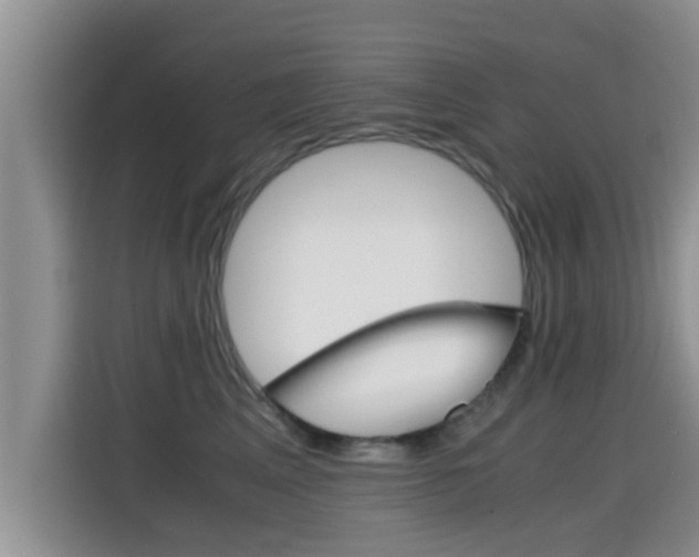 X0000115700617200911120944